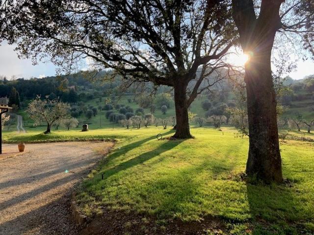Podere Montaione Volterra Zewnętrze zdjęcie